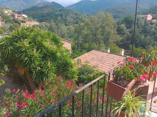 Joli 2 Pieces Serriera - last minute hotel in Unknown City