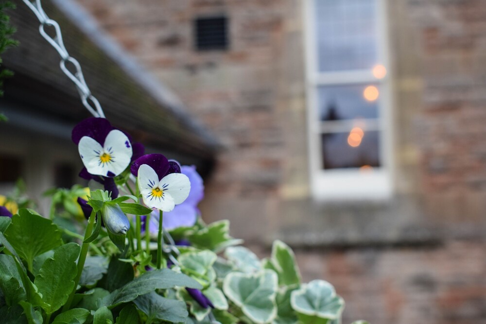 The Battleaxes — 4-Star Luxury Hotel in Bristol, United Kingdom