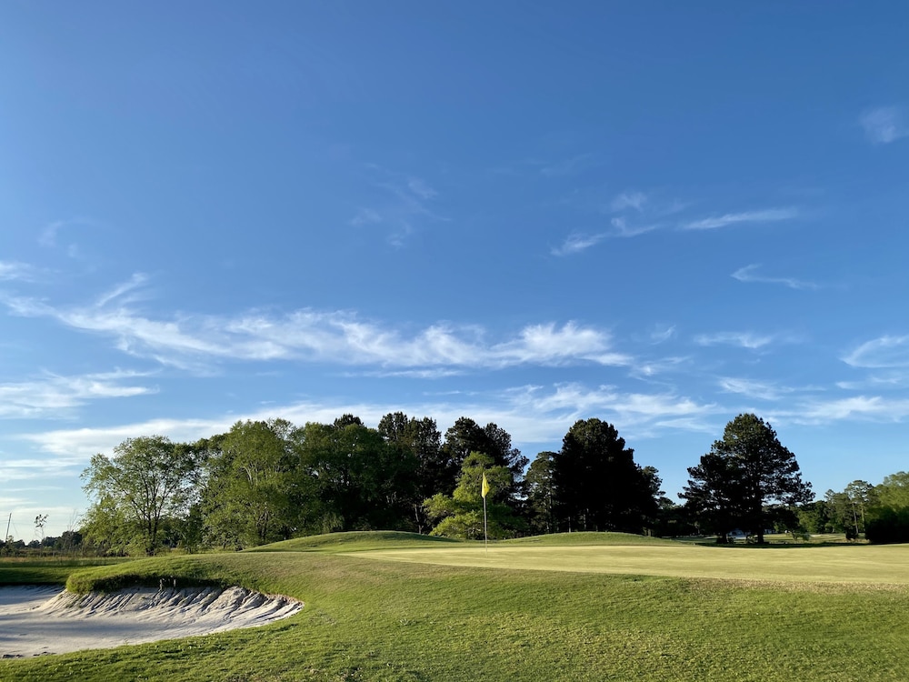 Blueberry Plantation Golf Resort - photo 18
