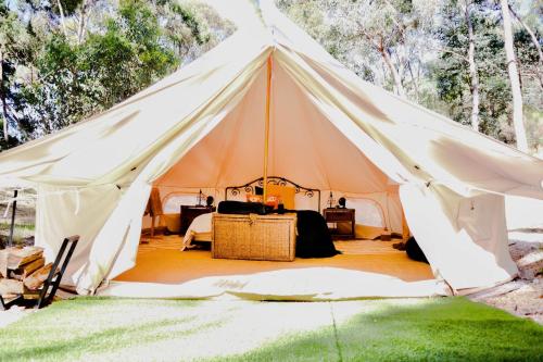Golden Point Glamping - last minute hotel in Chewton