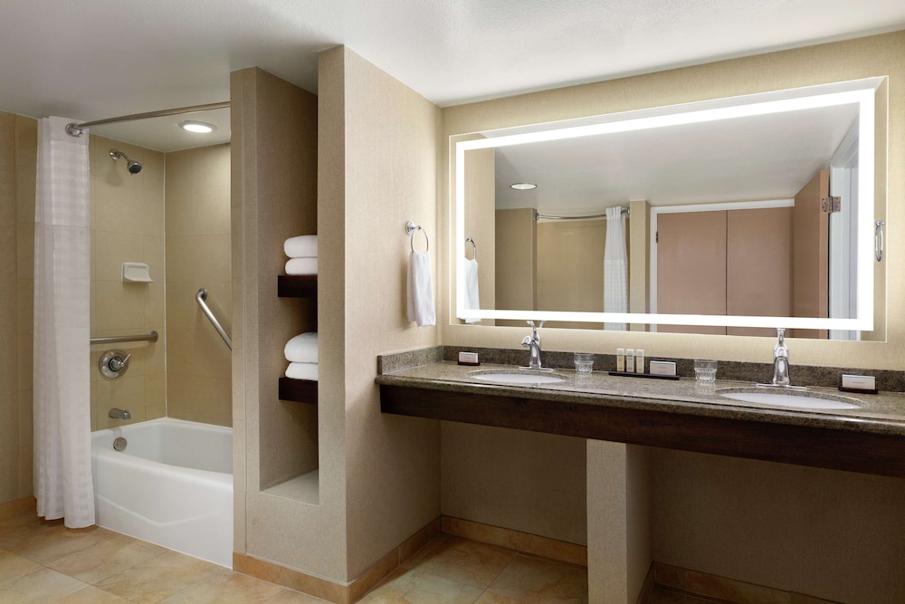 Embassy Suites by Hilton Phoenix Tempe - photo 19