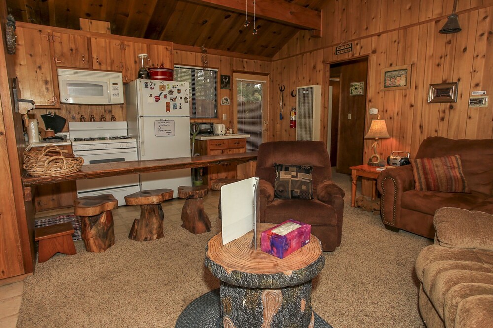 Bearadise - photo 14