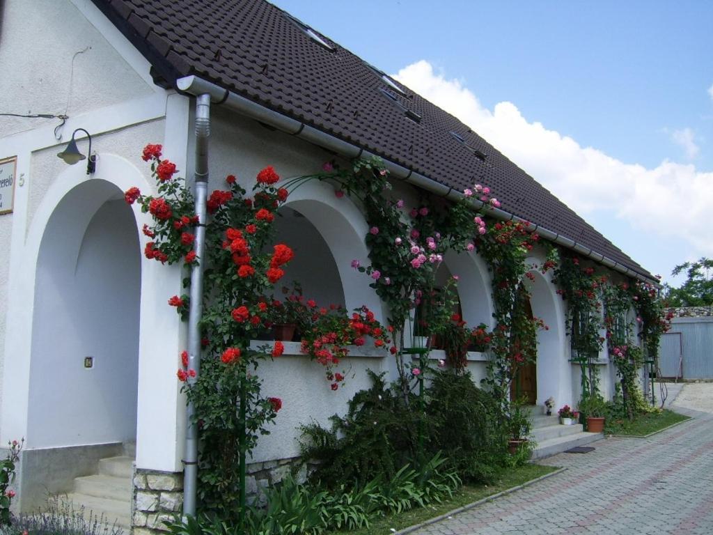 Banoporta in Unknown City, Hungary