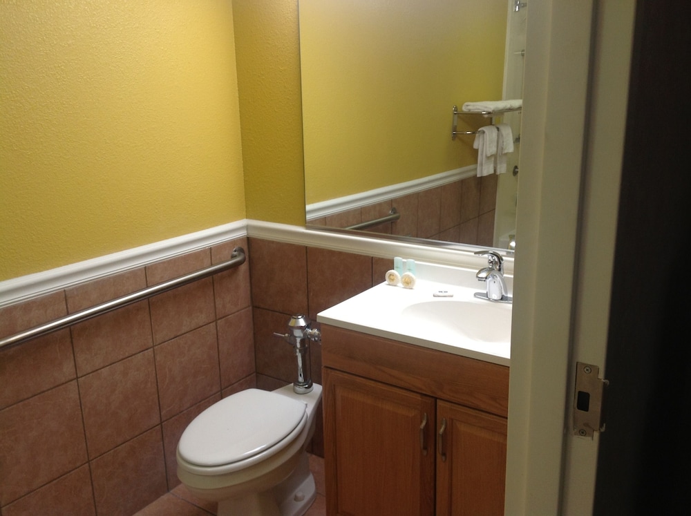 Colonial Inn & Suites Airport Graceland - photo 26
