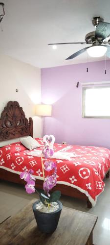 Gacelita Cozumel — 4-Star Luxury Hotel in Cozumel, Mexico