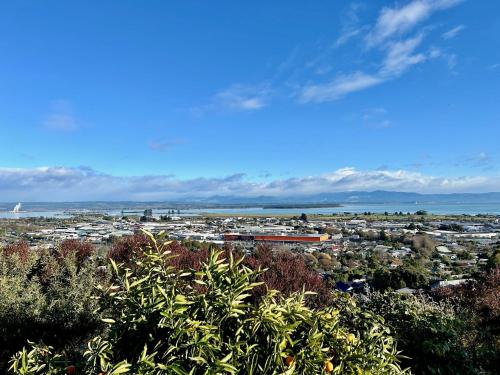 Pinnacle Apartment — 4-Star Luxury Hotel in Nelson, New Zealand