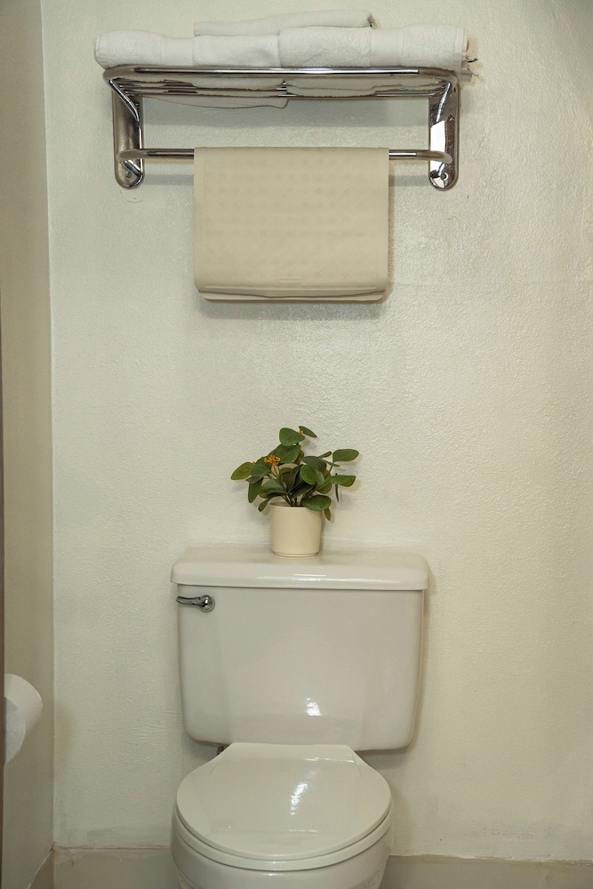 Victorian Inn & Suites - photo 32
