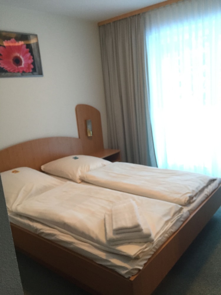 Residenz Hotel Paulsdorfer Hof — Dippoldiswalde — photo 5