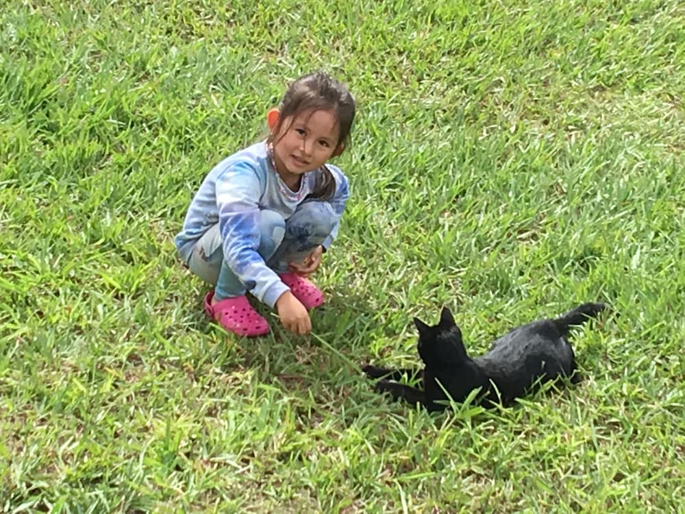 Hawaii Island Resort - photo 24