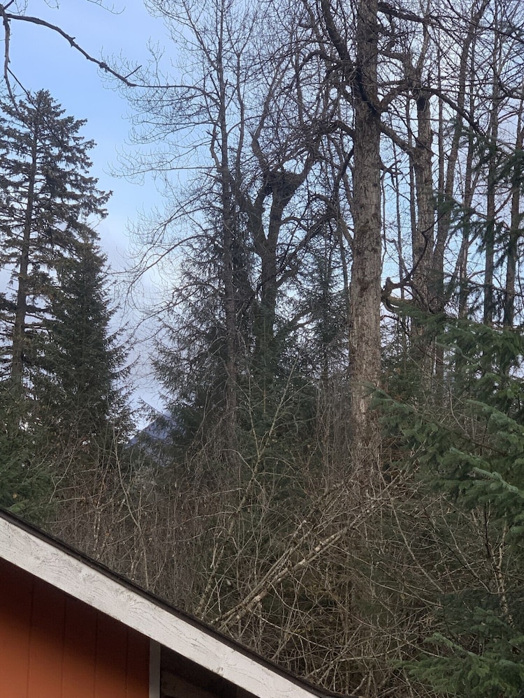 Bear Bottoms at Salmon Creek - photo 21
