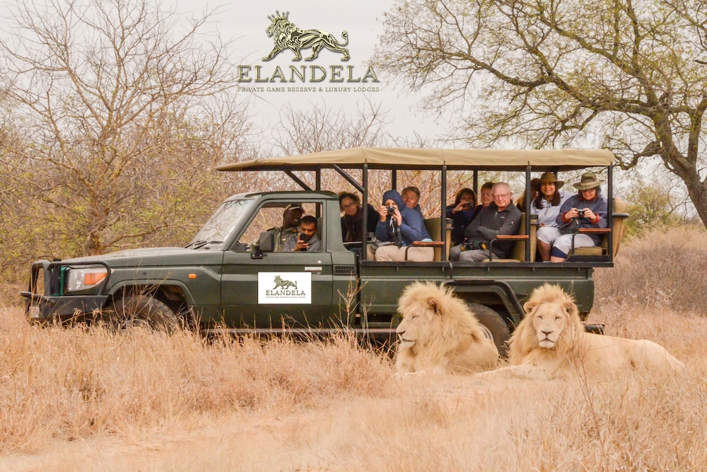 Elandela Private Game Reserve & Luxury Lodge — 4-Star Luxury Hotel in Hoedspruit, South Africa