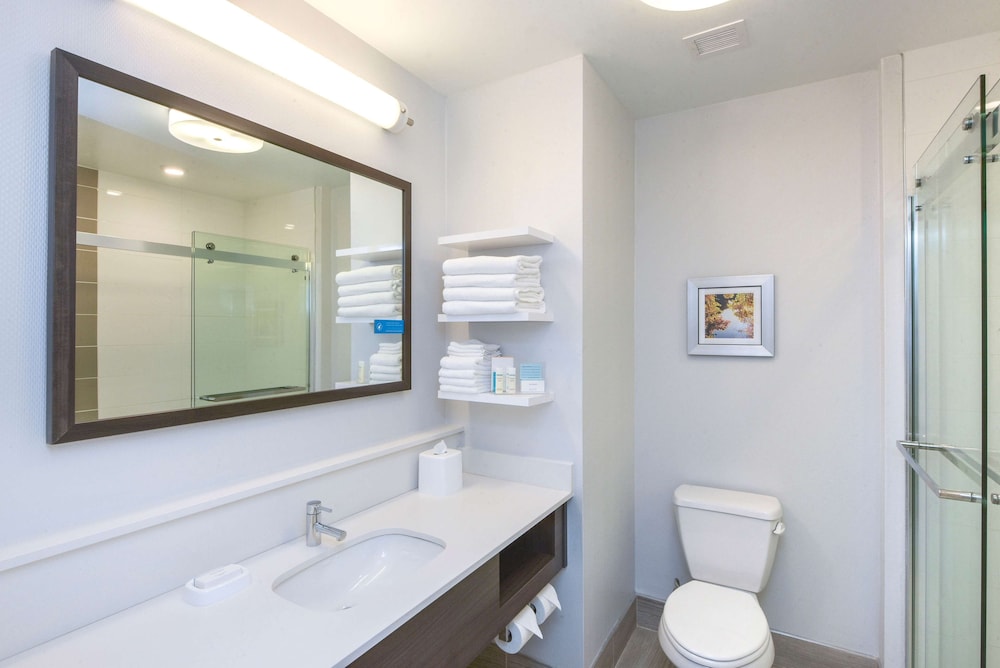 Hampton Inn Lumberton - photo 19