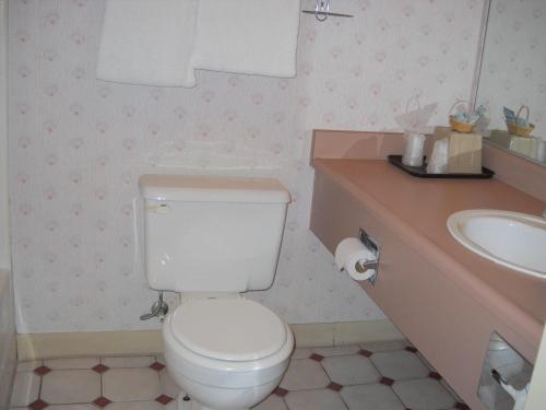 Palms Courtyard Inn - photo 6
