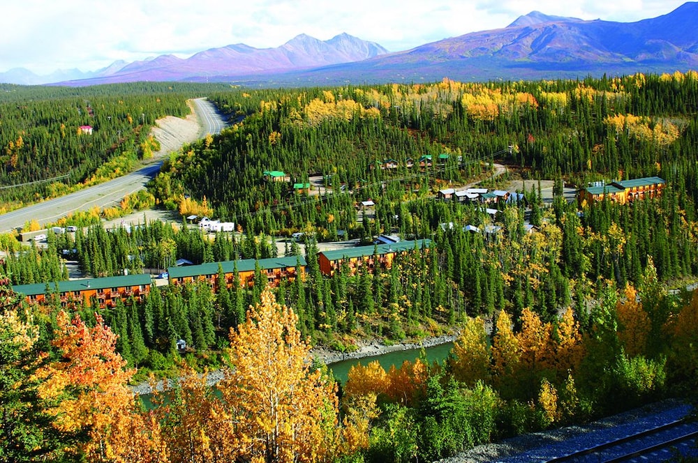 Denali Grizzly Bear Resort - photo 33