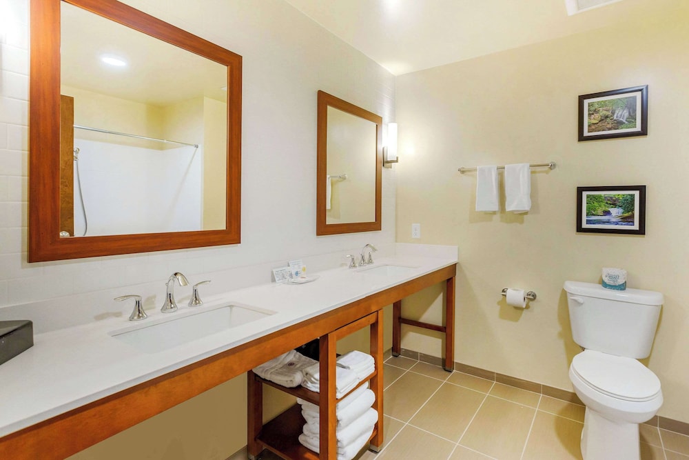Comfort Suites Burlington near I 5 - photo 22