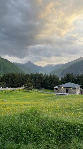 Aura Cottages