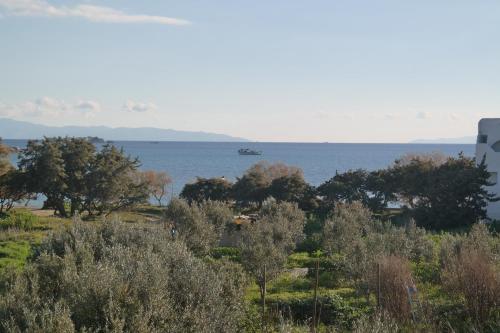 Mina S Studios In Naxos Island — Naxos