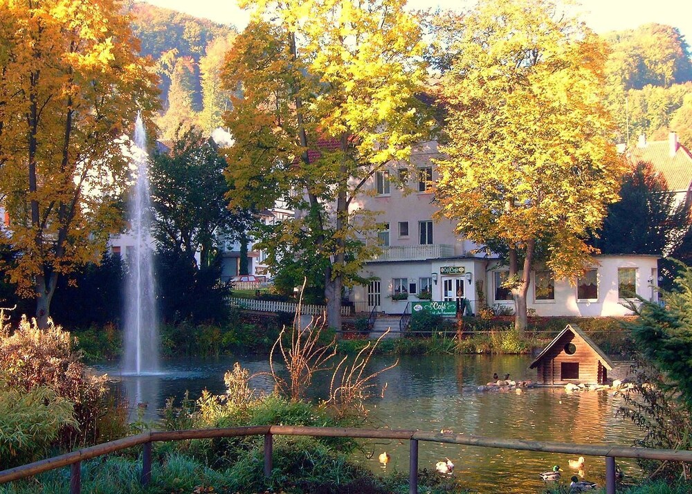 Parkhotel Am Schwanenteich — hotel in Bad Sooden-Allendorf