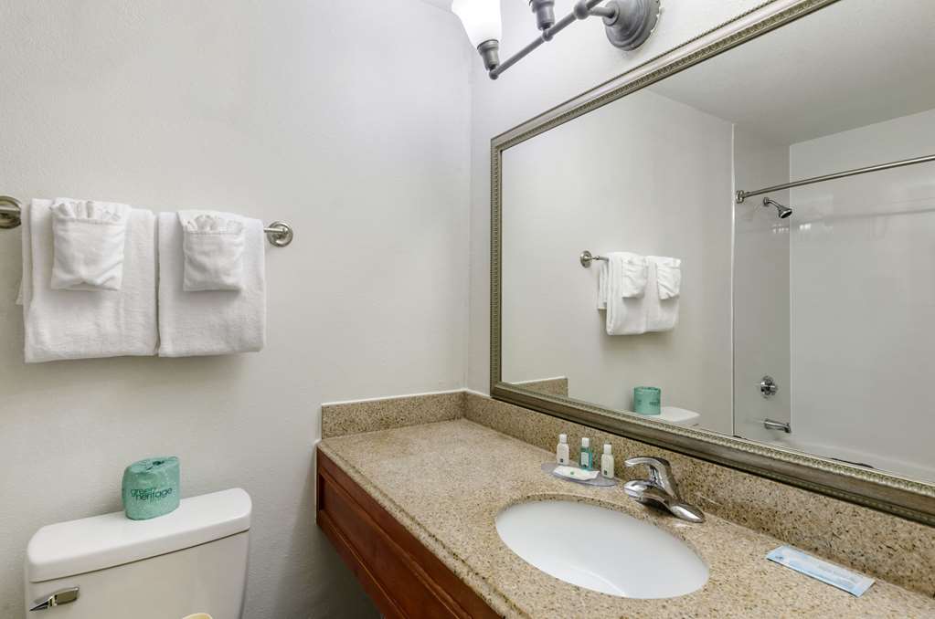 Quality Inn near Martinsville Speedway - photo 19