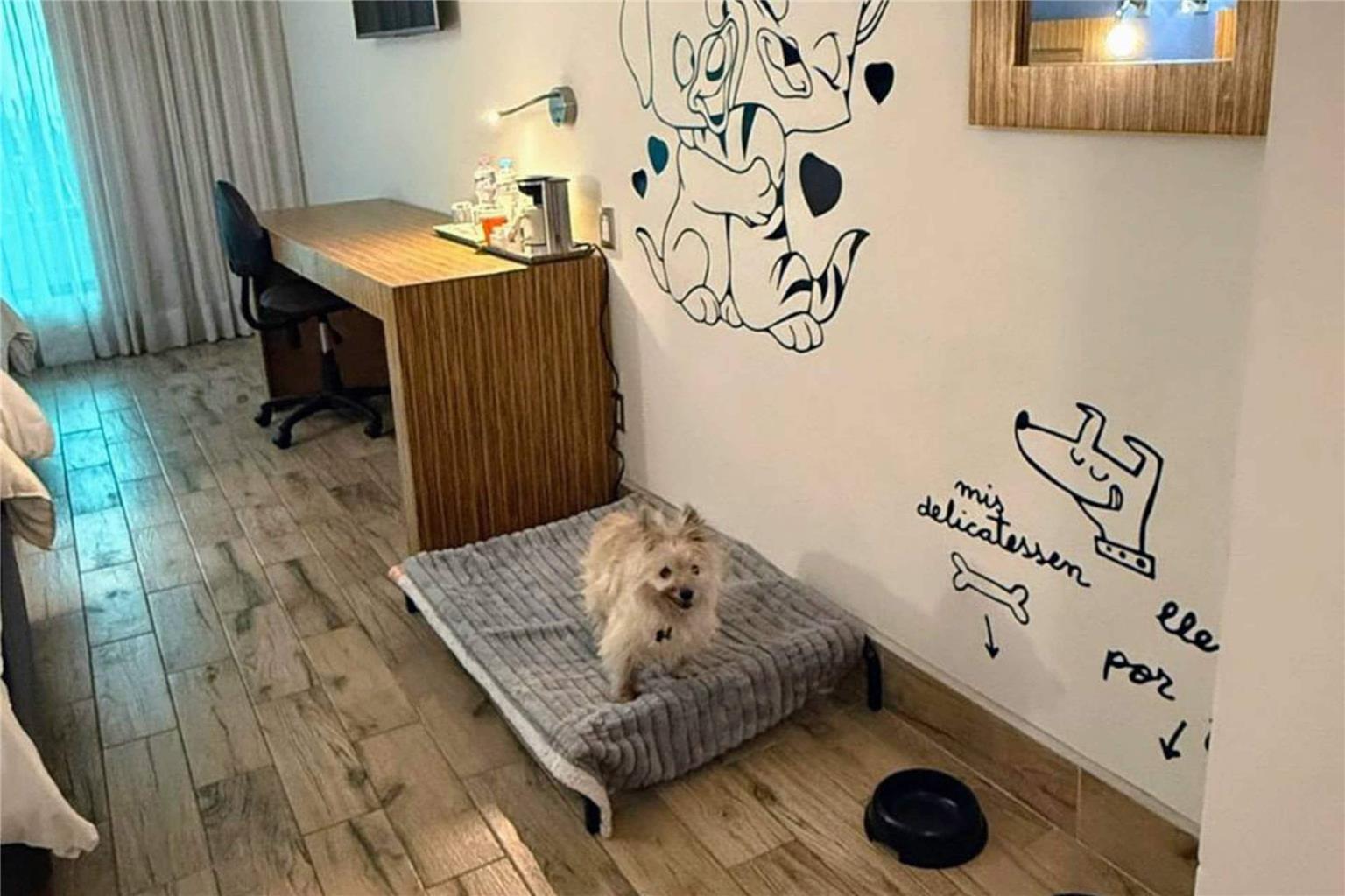 Guest room