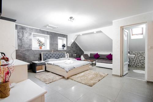 Cazare MOLDI regim hotelier in Gura Humorului, Romania