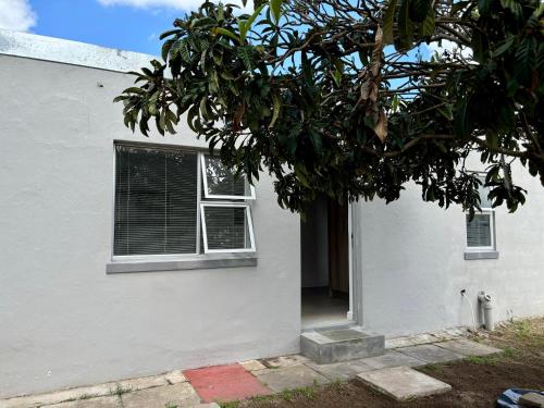 Garden Flat