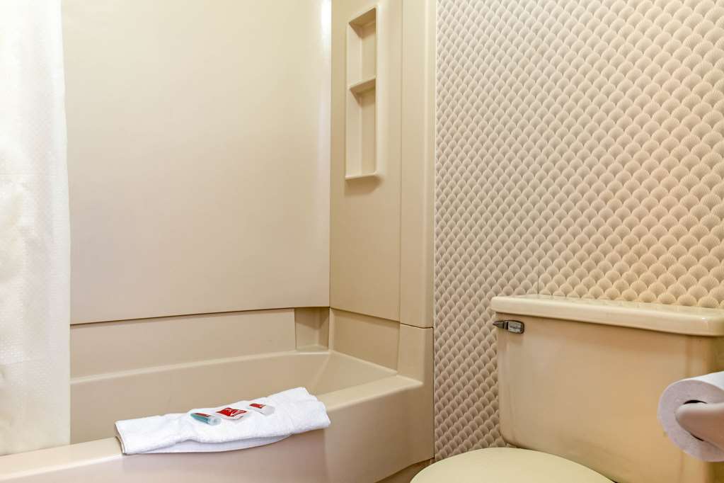 Econo Lodge Holland Toledo - photo 28