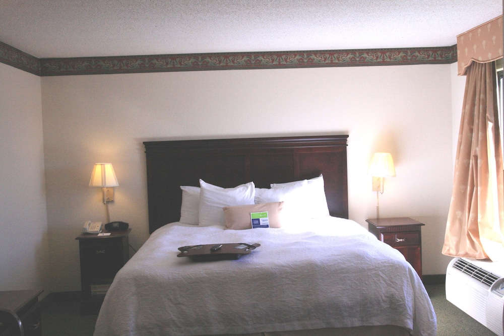 Hampton Inn Richmond Southwest Hull Street - photo 10