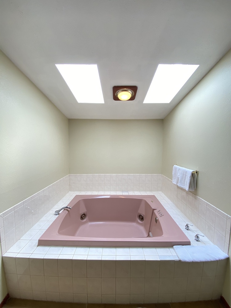 Campus Inn Motel - photo 4