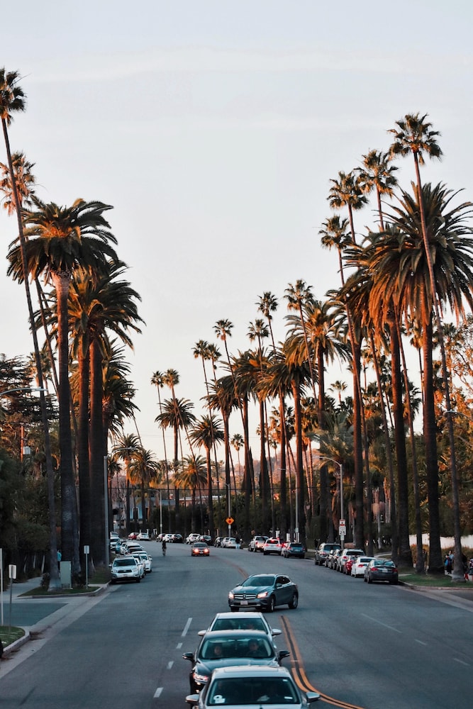 Montrose at Beverly Hills - photo 85