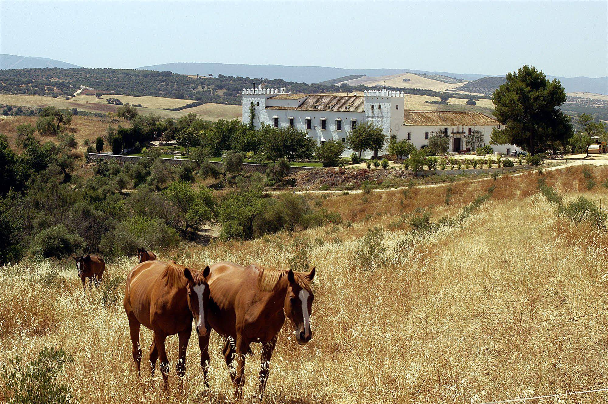 Cortijo Barranco