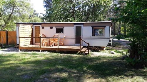 Tinyhaus2 idyllisch am Waldesrand in Cottbus, Germany
