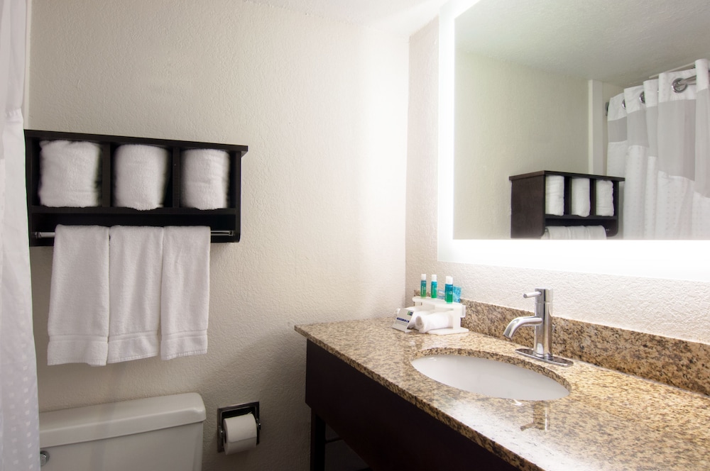 Holiday Inn Express Hotel & Suites Spence Lane by IHG - photo 14