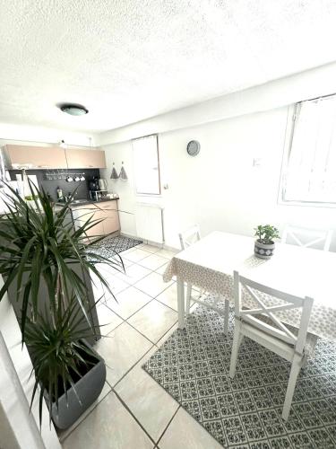 T2 la Roseraie in Chambery, France