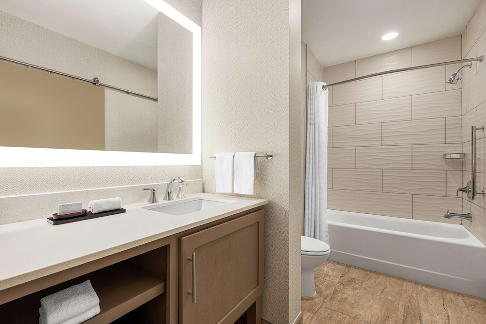Embassy Suites by Hilton Round Rock - photo 17