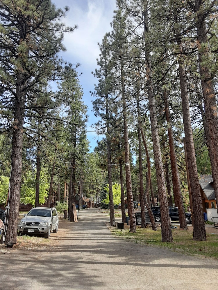 Grey Squirrel Resort - photo 173