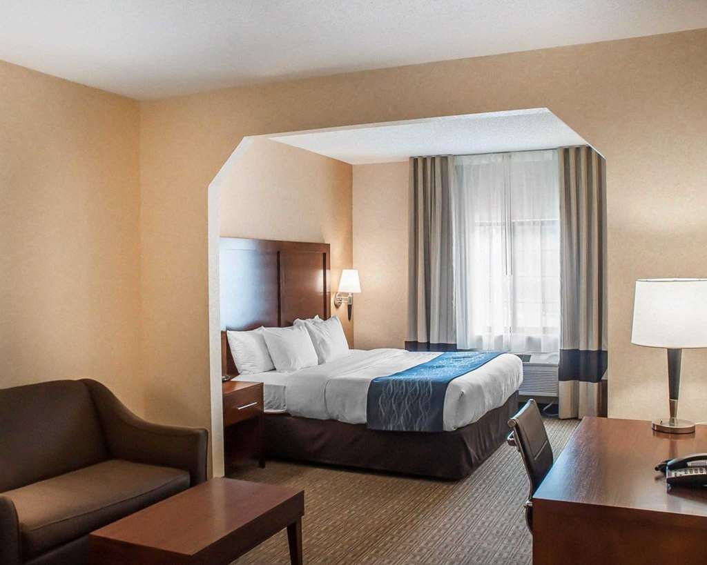Comfort Inn & Suites Hamburg Buffalo South - photo 11