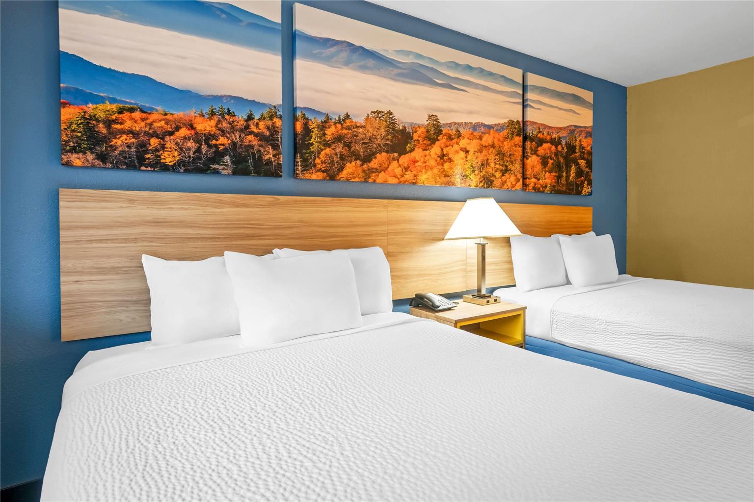 Days Inn by Wyndham Renfro Valley Mount Vernon - photo 24