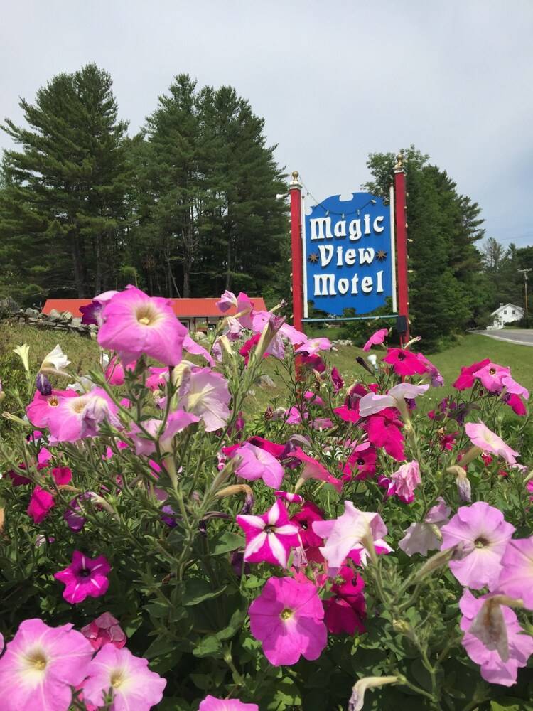 Magic View Motel - photo 48