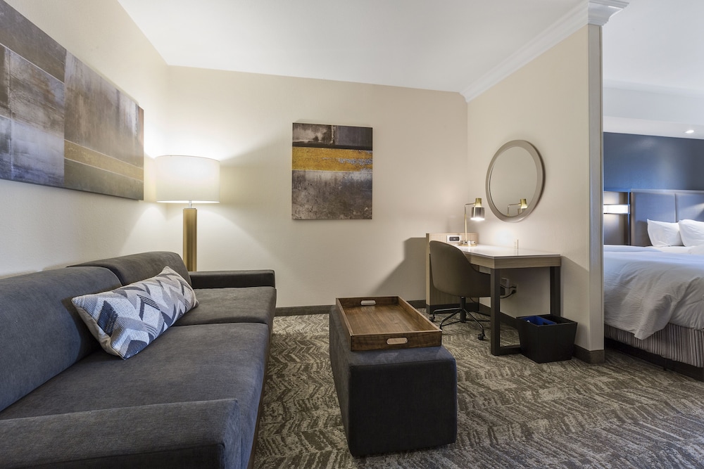 SpringHill Suites by Marriott Sacramento Natomas - photo 13