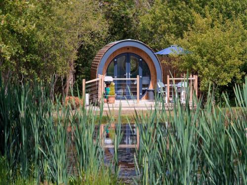 1 Bed in New Quay 77496 in Lampeter, United Kingdom