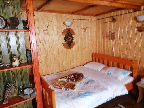 Cabana nea Nicu — Balcesti — photo 4