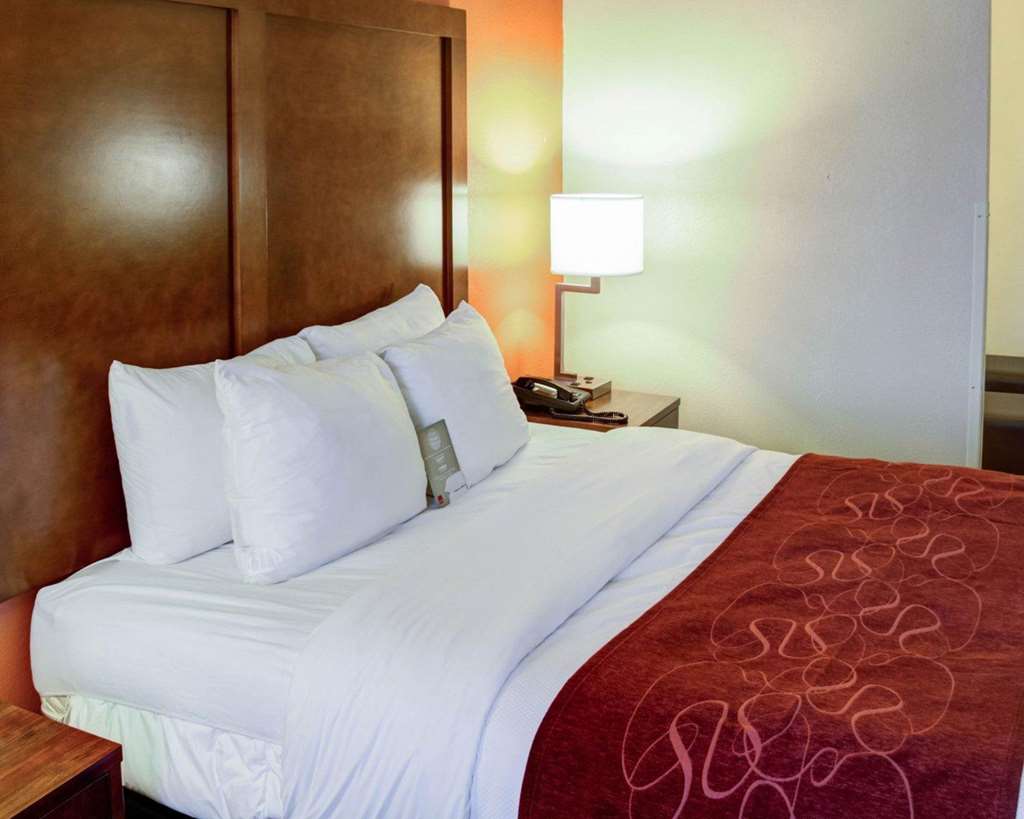 Comfort Suites Omaha Northwest - photo 16