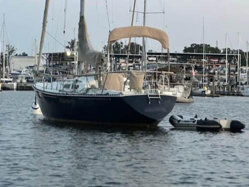 Sailboat Experience in Annapolis — Annapolis — photo 3
