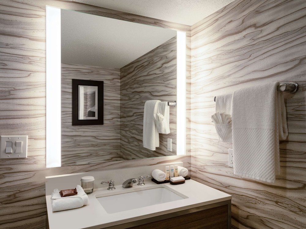 Embassy Suites by Hilton Baltimore Hunt Valley - photo 21