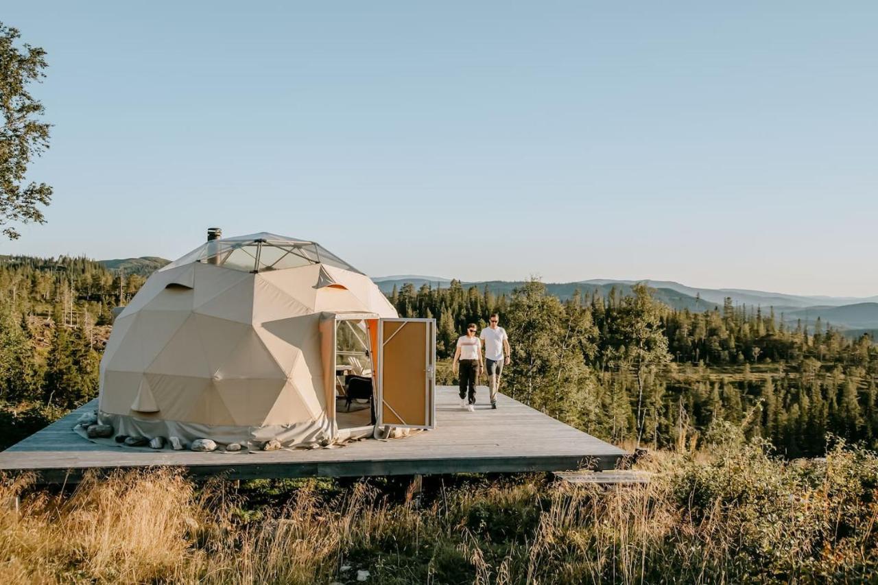 Arctic Dome Namdalen pet-friendly hotel Hoylandet