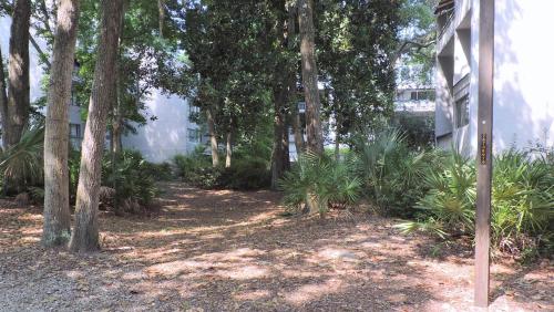 Treetops Villas - photo 2