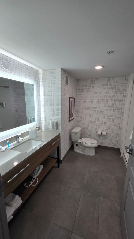 Hampton Inn & Suites Chicago Deer Park - photo 44