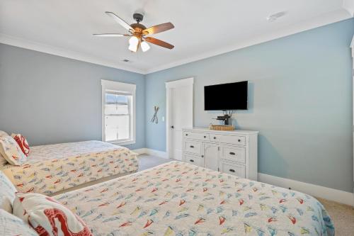 19 Sand Dollar - photo 37