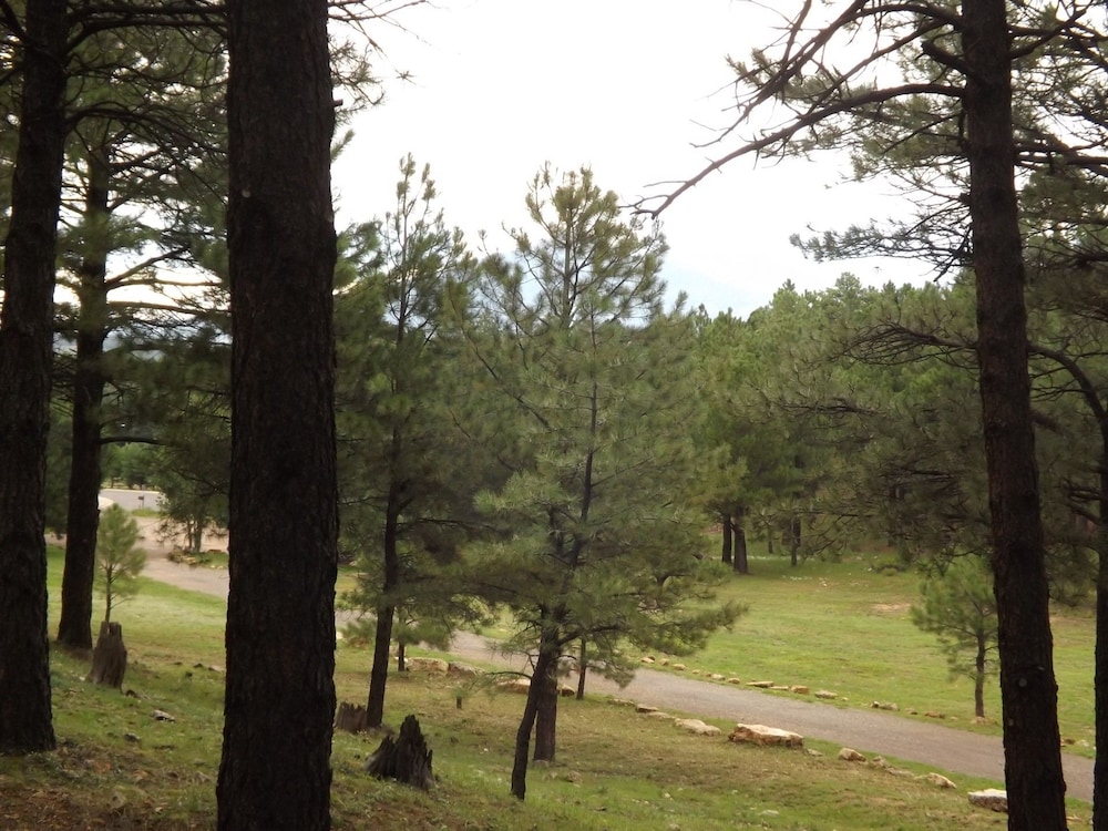 Arizona Mountain Inn and Cabins - photo 335